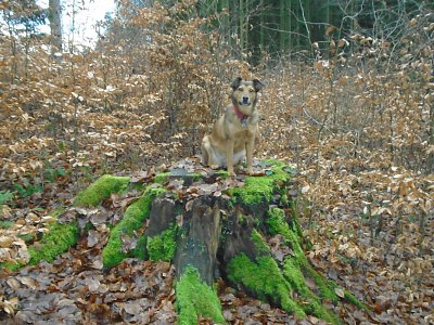 Jako vždy v pohodě.