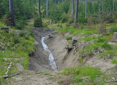 Pročistěné korýtko.