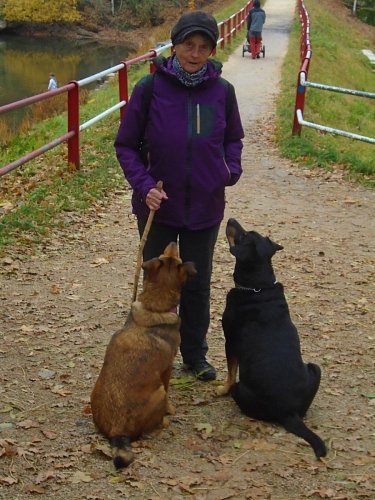 Nečučím do blba, jen přemýšlím kam se vydáme.