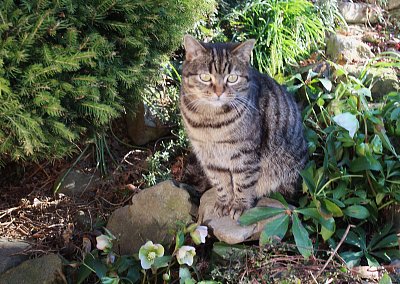 Ferda vyhlíží jaro