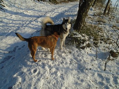 Potkali se, to bylo seznamování.