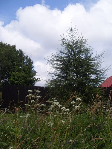 Nádherná a čistá velebnost krajiny v roce 2012