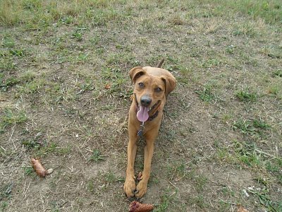 To asi bude nová hra bábinko, tady máš šišku.