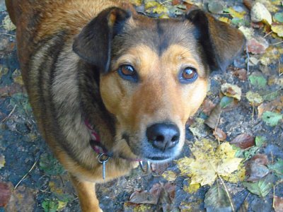 Už to víš bábinko kam půjdeme?