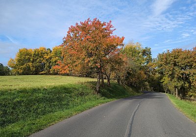 Krásným podzimem