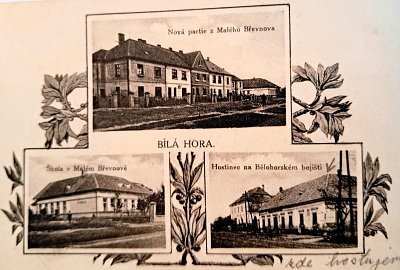 03-stara-pohlednice-z-knihy-o-brevnove-1930.jpg