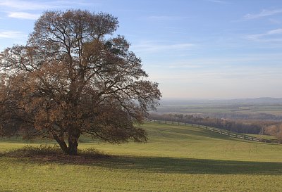 Pod námi je Holešov