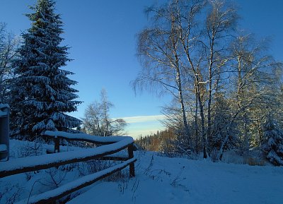 Toulky zimní krajinou