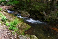 Peřeje na Bílé Opavě