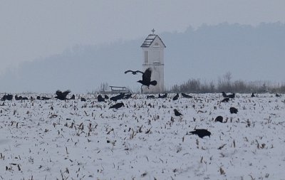 Kaplička na Lužické cestě 24-11-2025
