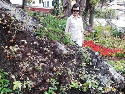 04. Procházíme i "divočinou", po cestách i necestách...