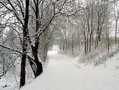 Cesta na louku nad městem