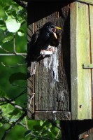 Už jsi tu zas?! Vypadni!!!