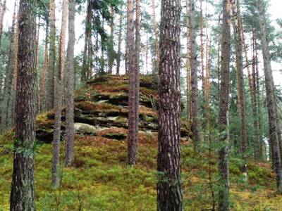 Za stromy na nás vykukují bizarní skály, obrostlé mechem