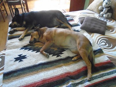 Sem se už nikdo nevejde.