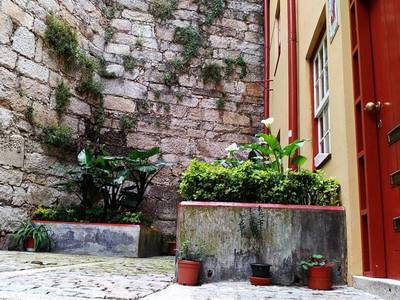 07. minizahrádka s bělostnými květy kal