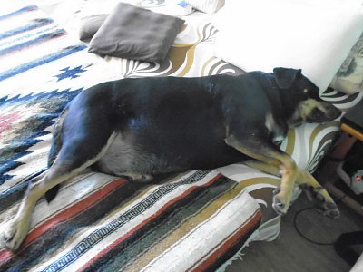 Pohodička u bábinky.