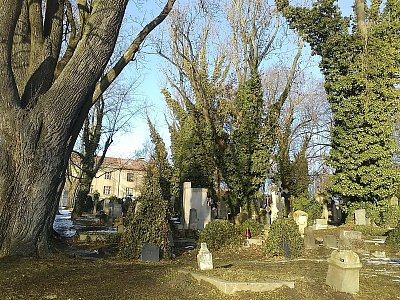 Z tohoto starého hřbitova (už se tu nepohřbívá) je vidět na fotbalové hřiště