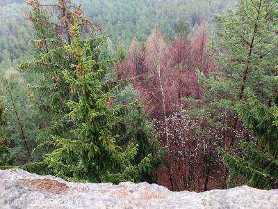 Na okraji skal žádné zábradlí, pozor! Pod námi hluboké propasti!