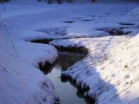 Potůček si cestičku najde