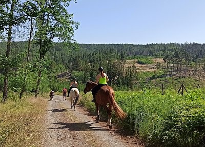 Někteří pěšky, někteří na koni