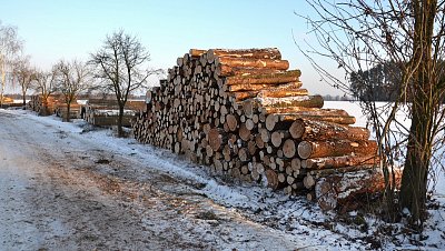 Připraveno k odvozu