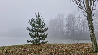 Mlha nad rybníkem
