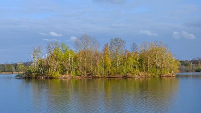 Ostrůvek na rybníku