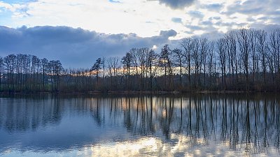 Zimní odpoledne u rybníka