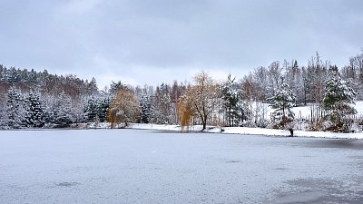 Zamrzlý rybník