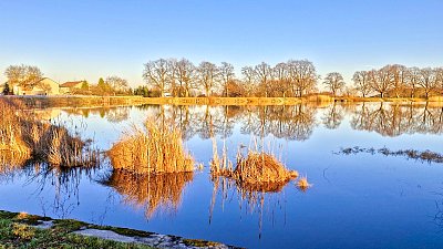Slunečno nad rybníkem