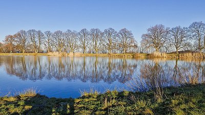 V prosinci u rybníka