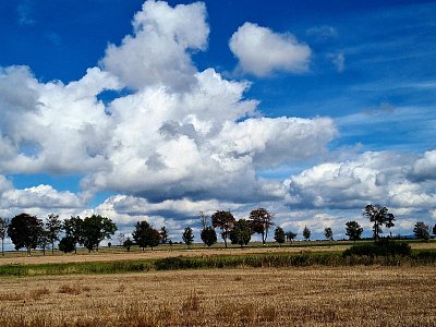 Po cestě k rozhledně