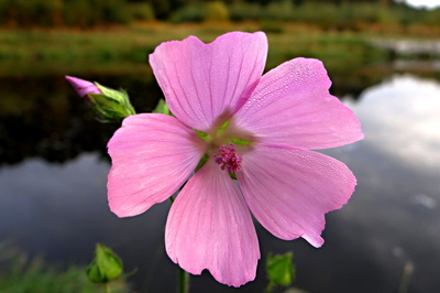 Fotoreportáž: Poselství o vodě