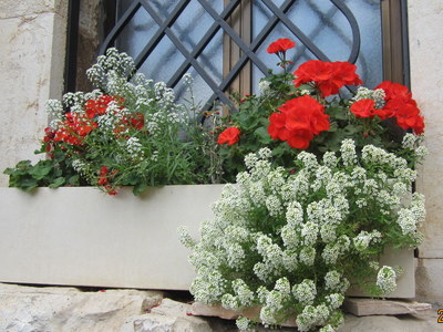 kytky kam se podíváš