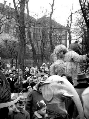 1-masopustni průvod