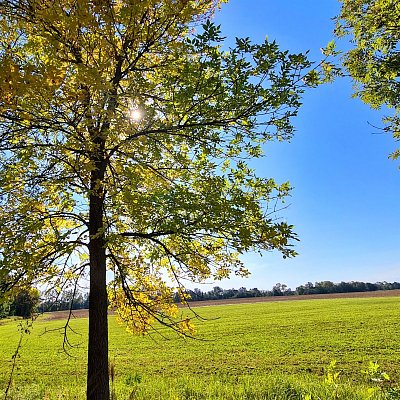 Podzimní nálada v přírodě