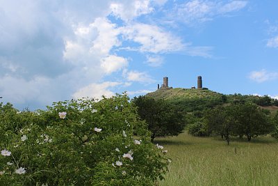 Růžičky pod hradem
