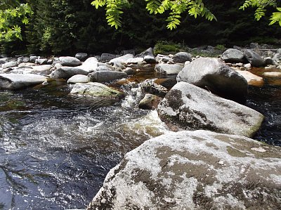 Pohoda v přírodě: u Jizery