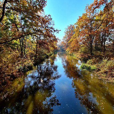 Stezka vede podél Lužnice