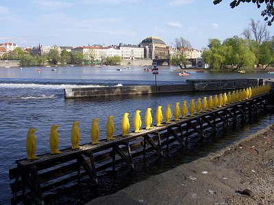 Moje rodná řeka Vltava - narodila jsem se na Štvanici, ale porodnici zbourali