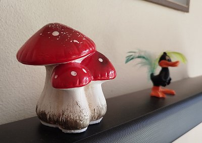 Houby,houby,houby ty já děsně rád....*