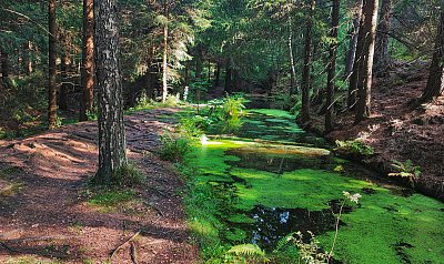 Flájský plavební kanál