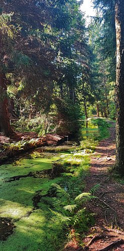 Flájský plavební kanál