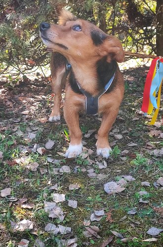 Na pondělí jsem připraven...