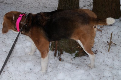 Musím si ty nové trasy pořádně označit.