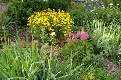 Ještě trochu kvítí