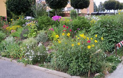 Práce na paloučku mi zničila nehty, musím s tím něco udělat!!!!