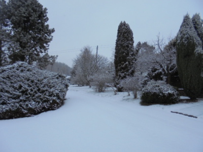 Dnešní den,procházka