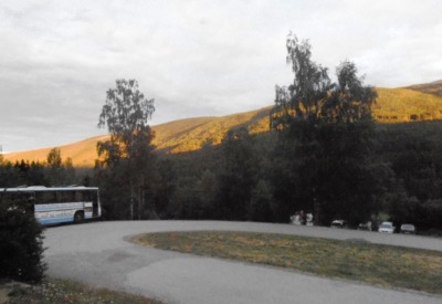 Místo lesů řepka???